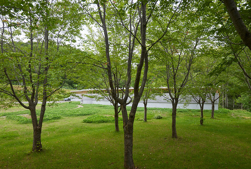 桜の庭からの眺め